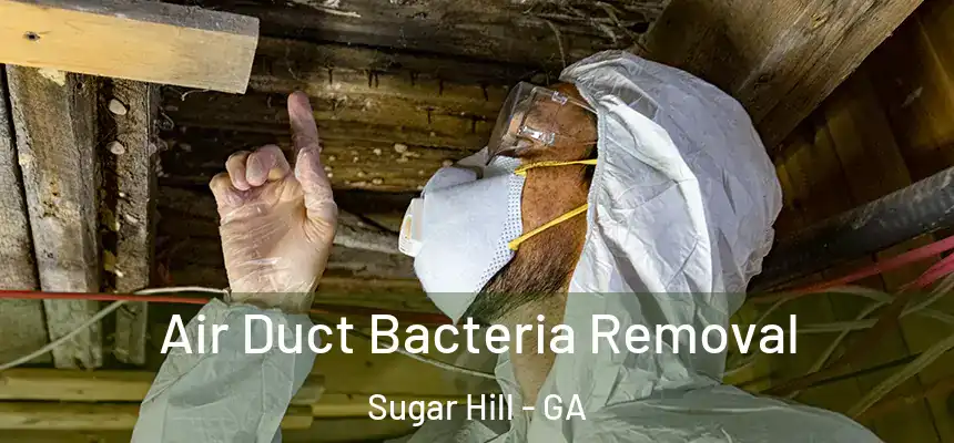 Air Duct Bacteria Removal Sugar Hill - GA