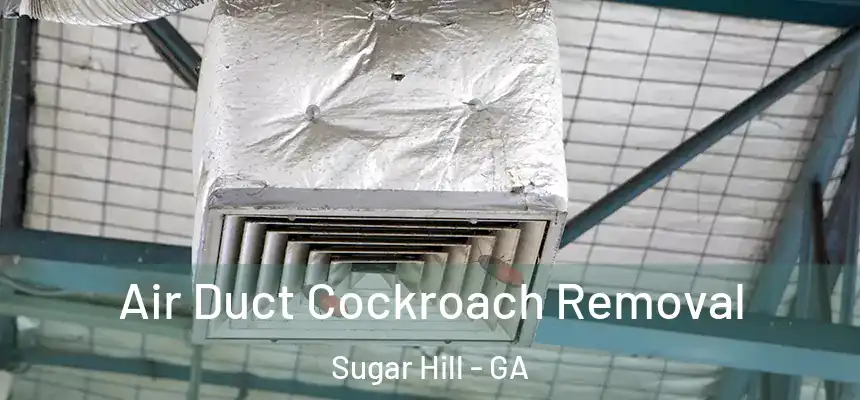  Air Duct Cockroach Removal Sugar Hill - GA
