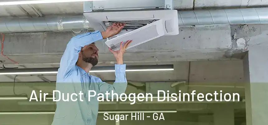  Air Duct Pathogen Disinfection Sugar Hill - GA