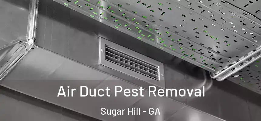  Air Duct Pest Removal Sugar Hill - GA