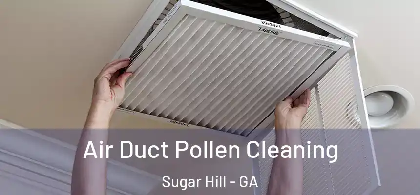 Air Duct Pollen Cleaning Sugar Hill - GA