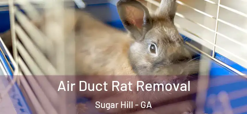  Air Duct Rat Removal Sugar Hill - GA