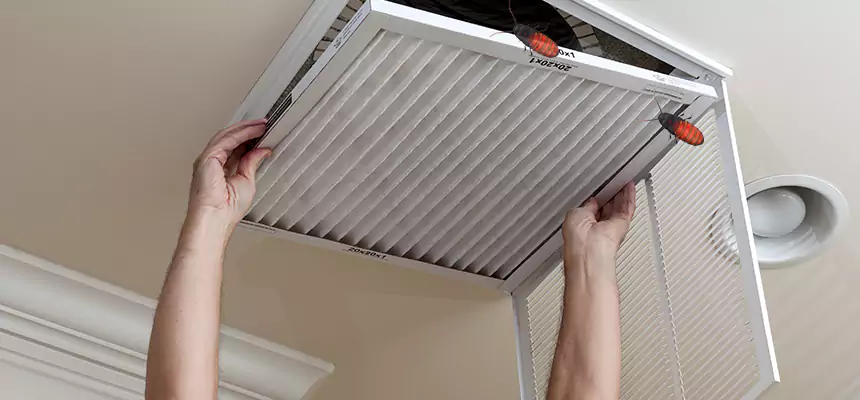 Preventive Cockroach-Proofing for Ducts in Sugar Hill