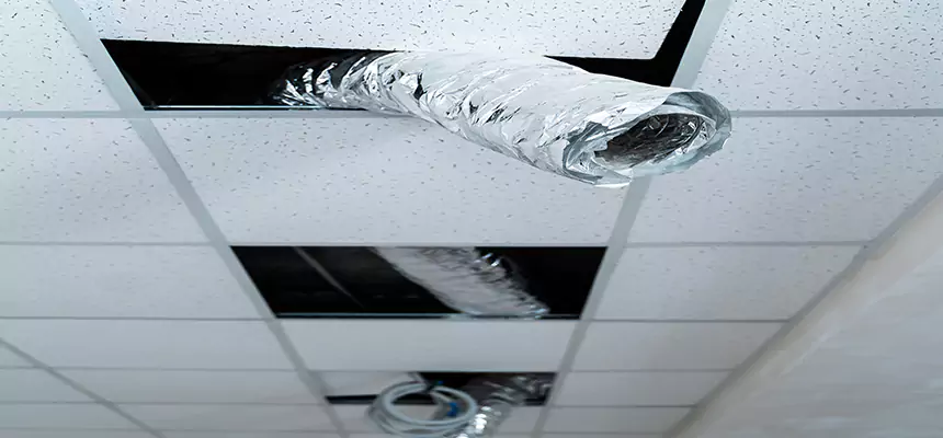 Our Air Duct Pet Hair Removal Services in Sugar Hill, GA