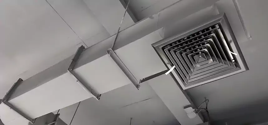 Our Pest Removal From Ducts Services in Sugar Hill, GA