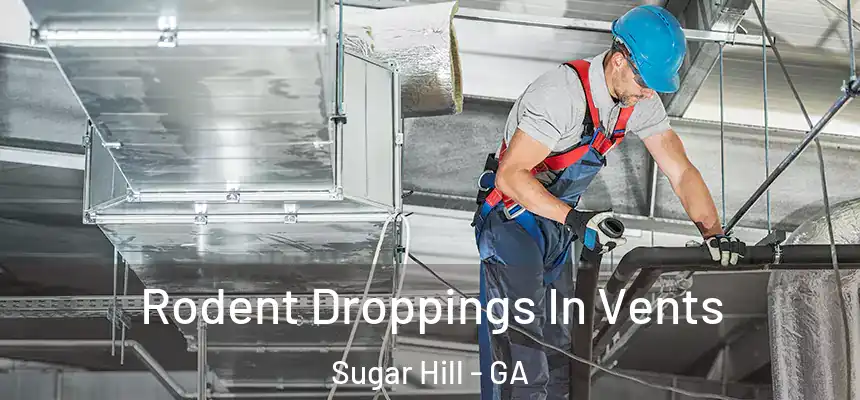  Rodent Droppings In Vents Sugar Hill - GA