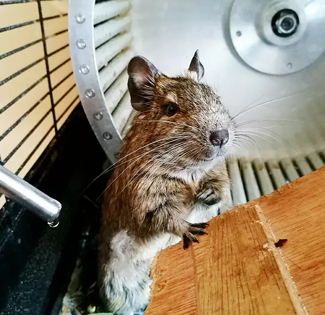 Why Homeowners & Businesses Trust Us Sugar Hill, GA