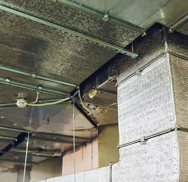 Why Homeowners & Businesses Trust Us in Sugar Hill, GA?